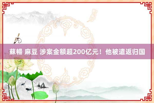 蘇暢 麻豆 涉案金额超200亿元！他被遣返归国