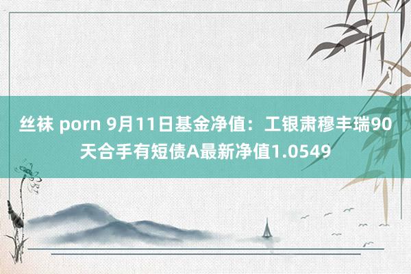 丝袜 porn 9月11日基金净值：工银肃穆丰瑞90天合手有短债A最新净值1.0549