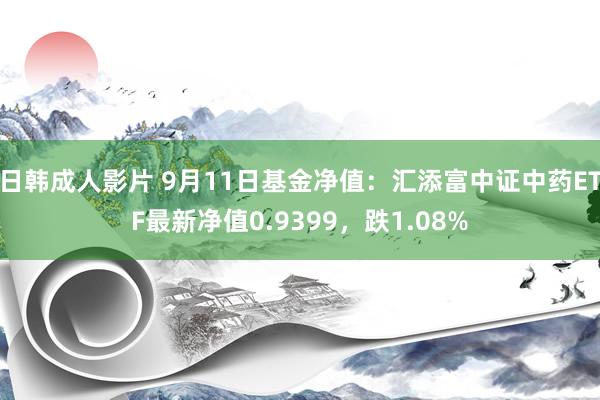 日韩成人影片 9月11日基金净值：汇添富中证中药ETF最新净值0.9399，跌1.08%