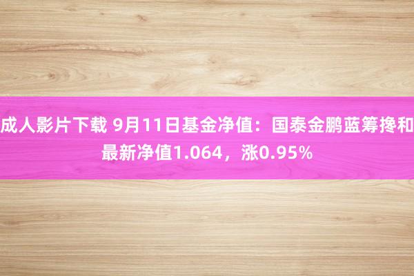 成人影片下载 9月11日基金净值：国泰金鹏蓝筹搀和最新净值1.064，涨0.95%