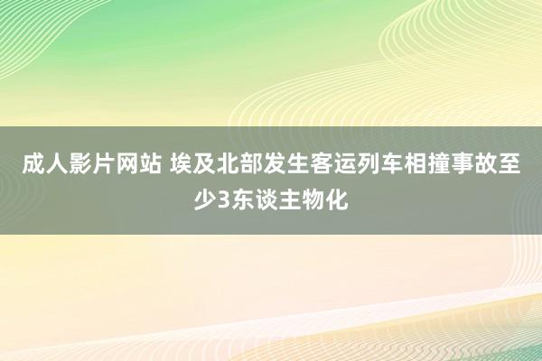 成人影片网站 埃及北部发生客运列车相撞事故至少3东谈主物化