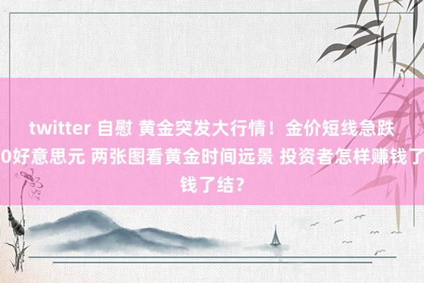 twitter 自慰 黄金突发大行情！金价短线急跌逾10好意思元 两张图看黄金时间远景 投资者怎样赚钱了结？