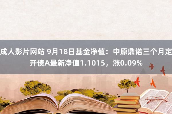 成人影片网站 9月18日基金净值：中原鼎诺三个月定开债A最新净值1.1015，涨0.09%