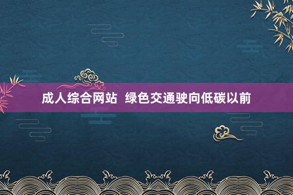 成人综合网站  绿色交通驶向低碳以前