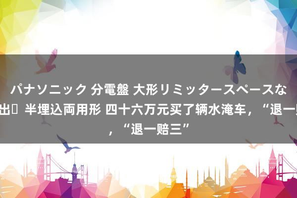 パナソニック 分電盤 大形リミッタースペースなし 露出・半埋込両用形 四十六万元买了辆水淹车，“退一赔三”