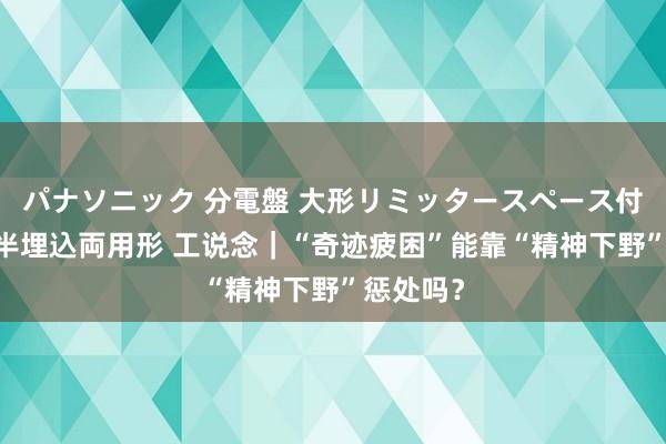 パナソニック 分電盤 大形リミッタースペース付 露出・半埋込両用形 工说念｜“奇迹疲困”能靠“精神下野”惩处吗？