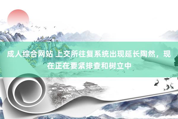 成人综合网站 上交所往复系统出现延长陶然，现在正在要紧排查和树立中