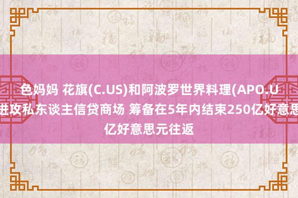 色妈妈 花旗(C.US)和阿波罗世界料理(APO.US)联手进攻私东谈主信贷商场 筹备在5年内结束250亿好意思元往返