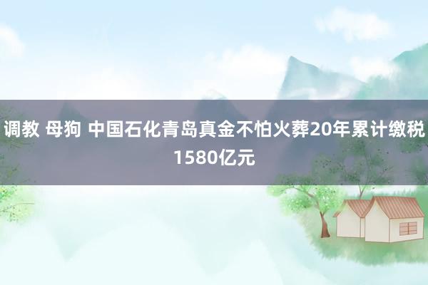 调教 母狗 中国石化青岛真金不怕火葬20年累计缴税1580亿元