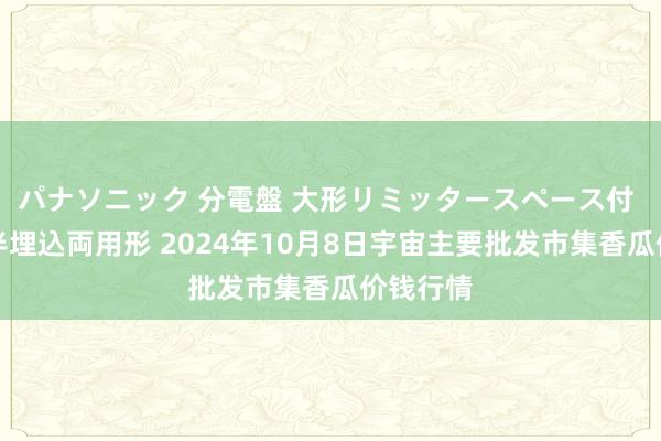 パナソニック 分電盤 大形リミッタースペース付 露出・半埋込両用形 2024年10月8日宇宙主要批发市集香瓜价钱行情