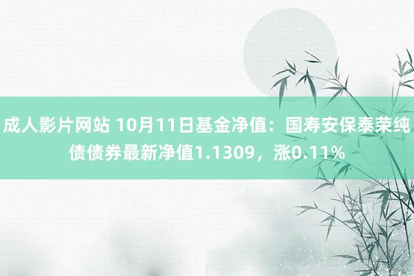 成人影片网站 10月11日基金净值：国寿安保泰荣纯债债券最新净值1.1309，涨0.11%