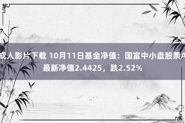 成人影片下载 10月11日基金净值：国富中小盘股票A最新净值2.4425，跌2.52%