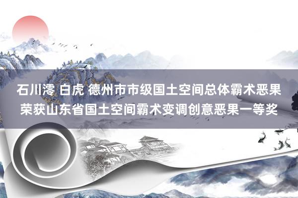 石川澪 白虎 德州市市级国土空间总体霸术恶果荣获山东省国土空间霸术变调创意恶果一等奖