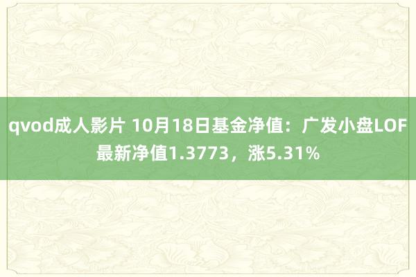 qvod成人影片 10月18日基金净值：广发小盘LOF最新净值1.3773，涨5.31%