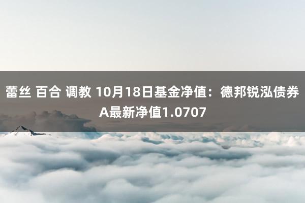 蕾丝 百合 调教 10月18日基金净值：德邦锐泓债券A最新净值1.0707