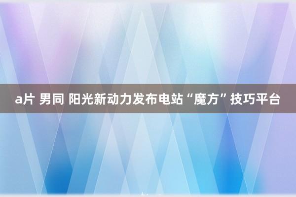 a片 男同 阳光新动力发布电站“魔方”技巧平台