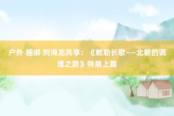 户外 捆绑 刘海龙共享：《敕勒长歌——北朝的调理之路》特展上篇