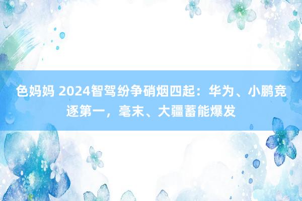 色妈妈 2024智驾纷争硝烟四起：华为、小鹏竞逐第一，毫末、大疆蓄能爆发