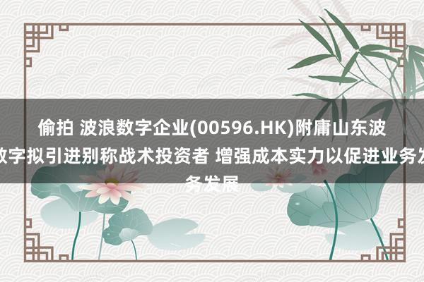 偷拍 波浪数字企业(00596.HK)附庸山东波浪数字拟引进别称战术投资者 增强成本实力以促进业务发展