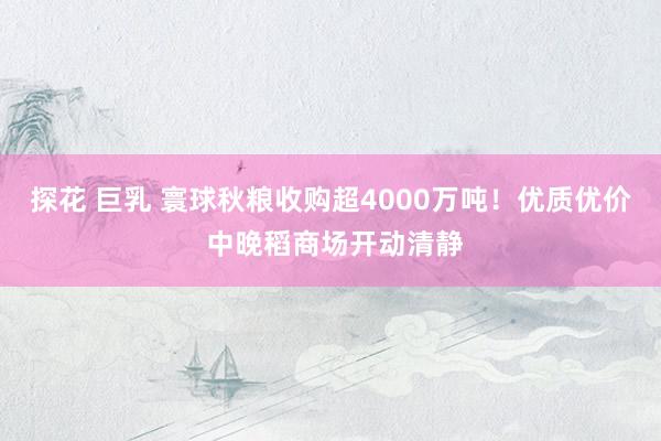 探花 巨乳 寰球秋粮收购超4000万吨！优质优价 中晚稻商场开动清静