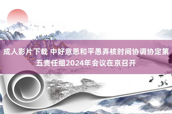 成人影片下载 中好意思和平愚弄核时间协调协定第五责任组2024年会议在京召开