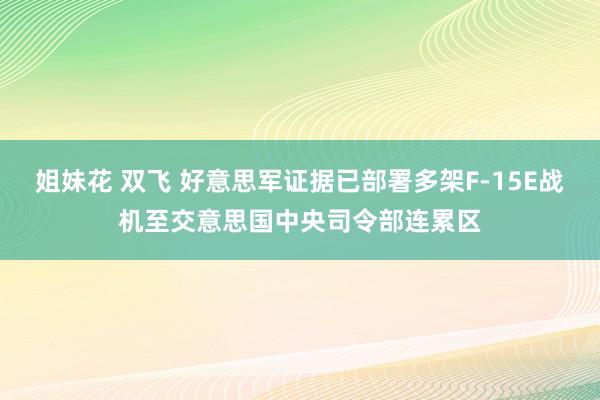 姐妹花 双飞 好意思军证据已部署多架F-15E战机至交意思国中央司令部连累区