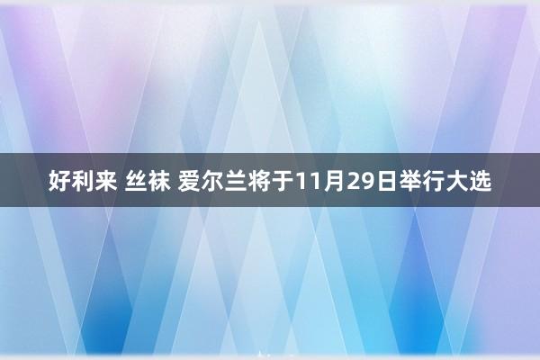 好利来 丝袜 爱尔兰将于11月29日举行大选