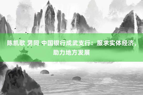 陈凯歌 男同 中国银行成武支行：服求实体经济，助力地方发展