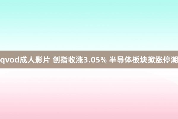 qvod成人影片 创指收涨3.05% 半导体板块掀涨停潮