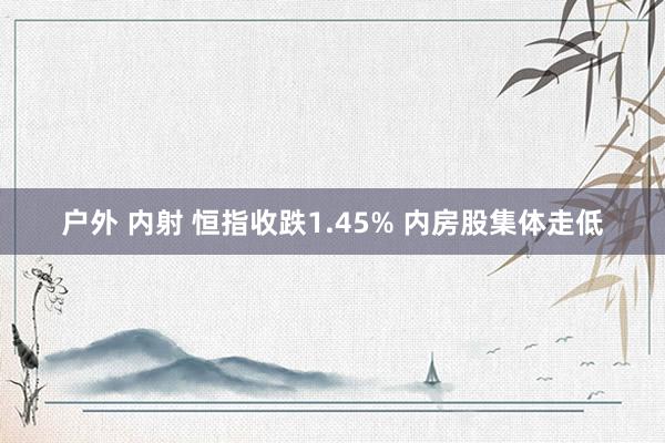 户外 内射 恒指收跌1.45% 内房股集体走低