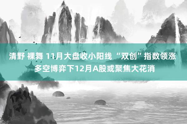 清野 裸舞 11月大盘收小阳线 “双创”指数领涨  多空博弈下12月A股或聚焦大花消