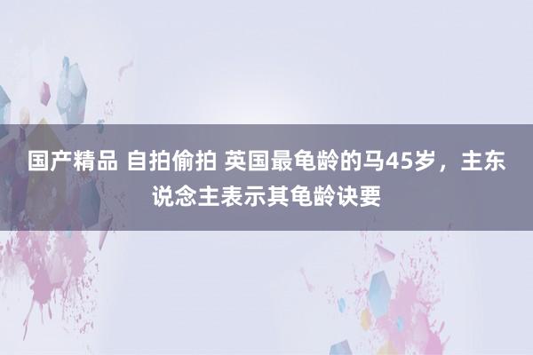 国产精品 自拍偷拍 英国最龟龄的马45岁，主东说念主表示其龟龄诀要