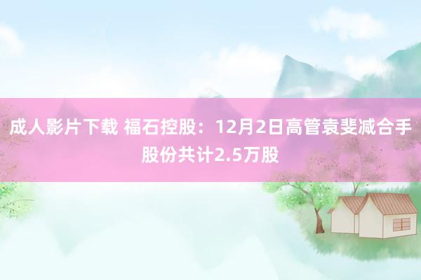 成人影片下载 福石控股：12月2日高管袁斐减合手股份共计2.5万股