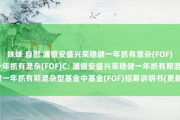 妹妹 自慰 浦银安盛兴荣稳健一年抓有混杂(FOF)A，浦银安盛兴荣稳健一年抓有混杂(FOF)C: 浦银安盛兴荣稳健一年抓有期混杂型基金中基金(FOF)招募讲明书(更新)2024年第2号