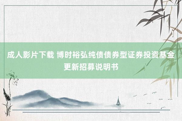 成人影片下载 博时裕弘纯债债券型证券投资基金更新招募说明书