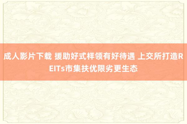 成人影片下载 援助好式样领有好待遇 上交所打造REITs市集扶优限劣更生态