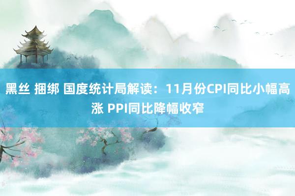 黑丝 捆绑 国度统计局解读：11月份CPI同比小幅高涨 PPI同比降幅收窄