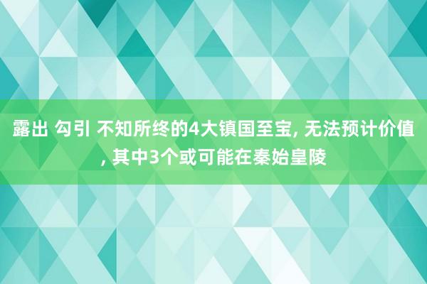 露出 勾引 不知所终的4大镇国至宝， 无法预计价值， 其中3个或可能在秦始皇陵