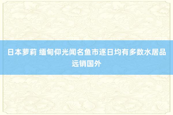 日本萝莉 缅甸仰光闻名鱼市逐日均有多数水居品远销国外