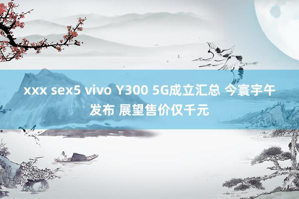 xxx sex5 vivo Y300 5G成立汇总 今寰宇午发布 展望售价仅千元