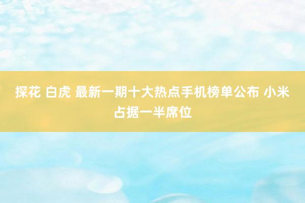 探花 白虎 最新一期十大热点手机榜单公布 小米占据一半席位