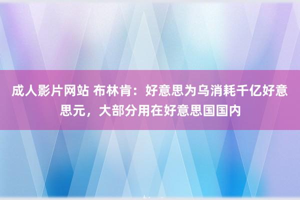 成人影片网站 布林肯：好意思为乌消耗千亿好意思元，大部分用在好意思国国内