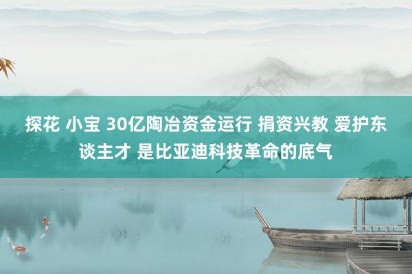 探花 小宝 30亿陶冶资金运行 捐资兴教 爱护东谈主才 是比亚迪科技革命的底气