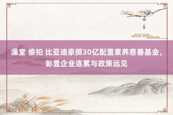 澡堂 偷拍 比亚迪豪掷30亿配置素养慈善基金，彰显企业连累与政策远见