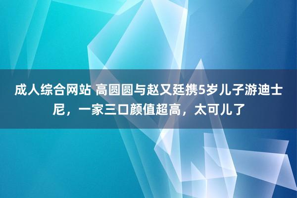 成人综合网站 高圆圆与赵又廷携5岁儿子游迪士尼，一家三口颜值超高，太可儿了