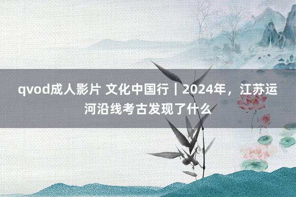 qvod成人影片 文化中国行｜2024年，江苏运河沿线考古发现了什么