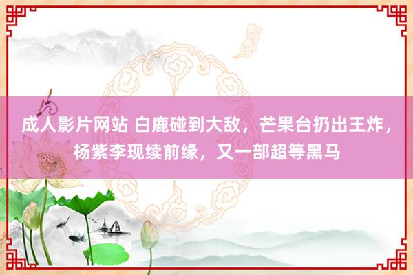 成人影片网站 白鹿碰到大敌，芒果台扔出王炸，杨紫李现续前缘，又一部超等黑马