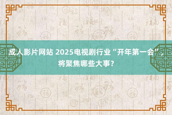 成人影片网站 2025电视剧行业“开年第一会”，将聚焦哪些大事？