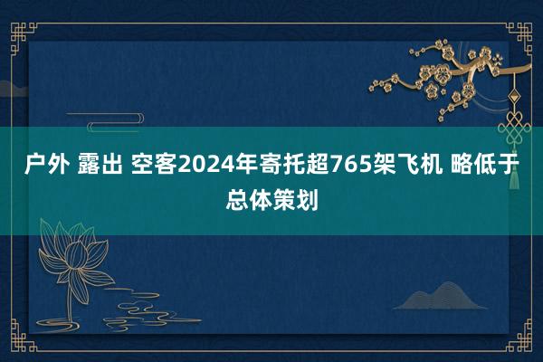 户外 露出 空客2024年寄托超765架飞机 略低于总体策划