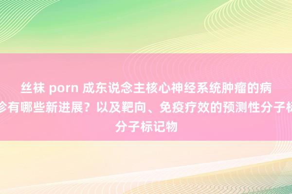 丝袜 porn 成东说念主核心神经系统肿瘤的病理会诊有哪些新进展？以及靶向、免疫疗效的预测性分子标记物